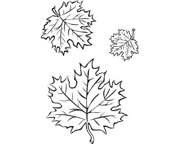 Разные деревья карандашом