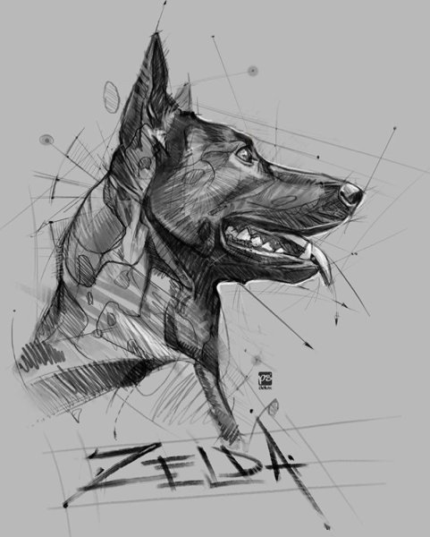 Собака скетч