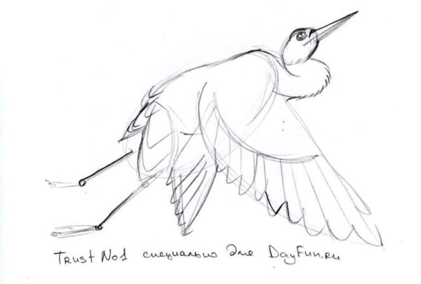 Белый Аист рисунок карандашом