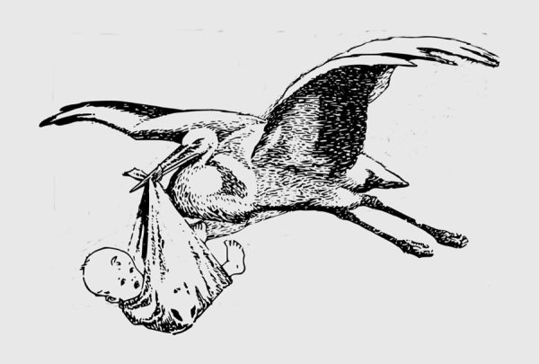 Аист с младенцем