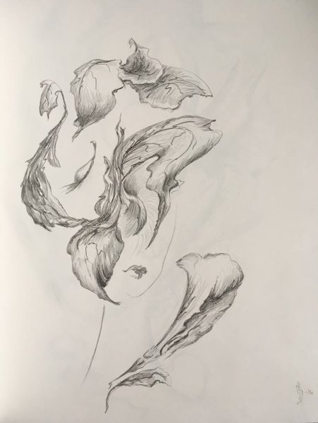 Тишина рисунок