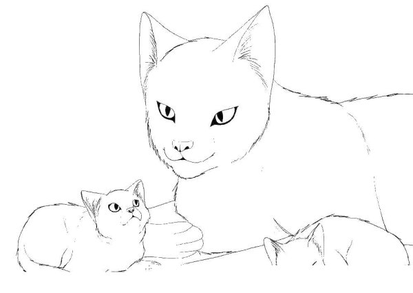 Два котенка раскраска