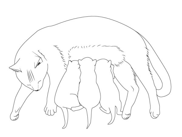 Кошка с котятами рисунок карандашом