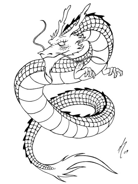 Китайский дракон для срисовки