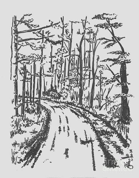 Тропинка карандашом