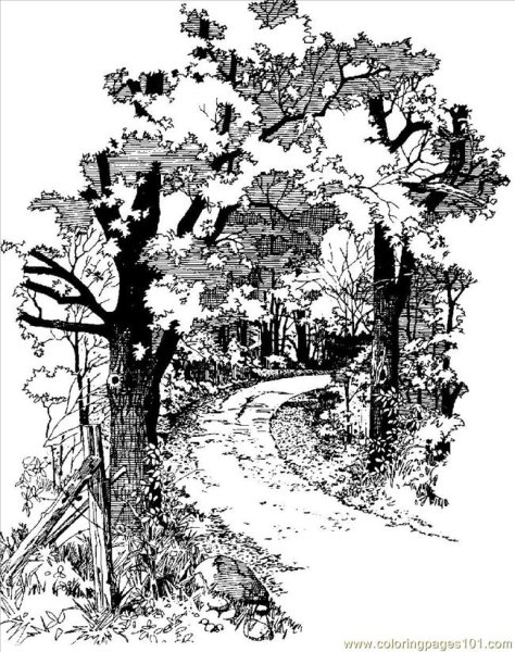 Зарисовки тропинок