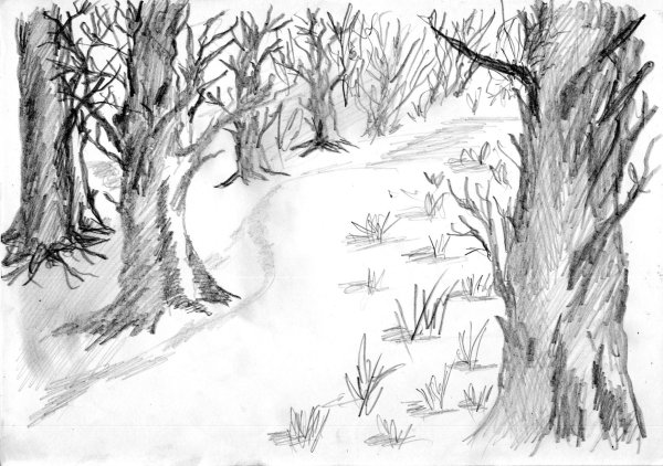 Тропинка рисунок карандашом