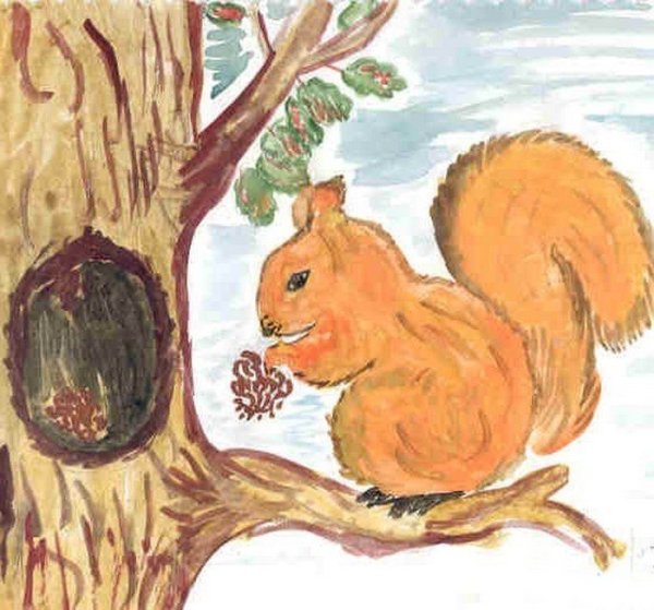 Рисунки белок