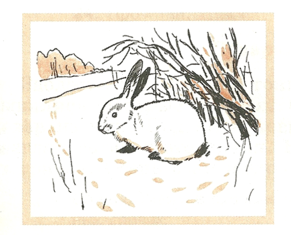 Георгий Скребицкий белая шубка иллюстрация