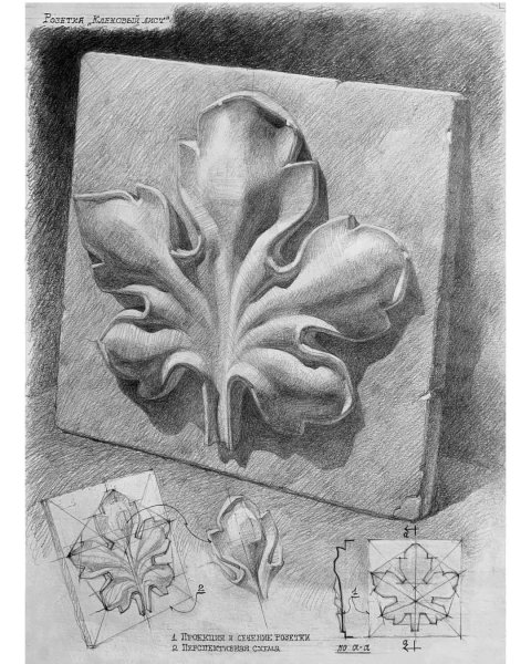 Гипсовая розетка пятилистник Академический рисунок