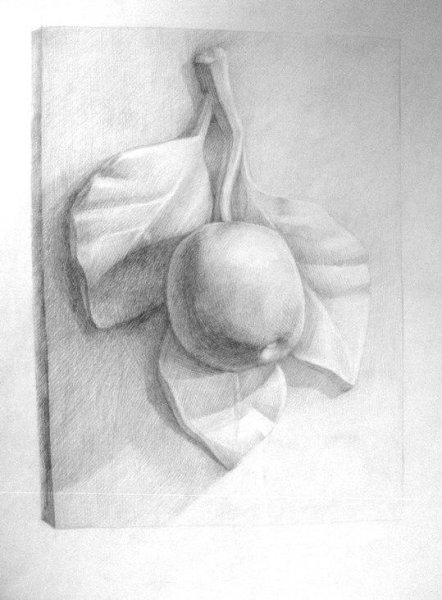 Гипсовые розетки для рисования