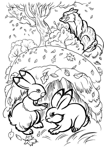 Кролик раскраска