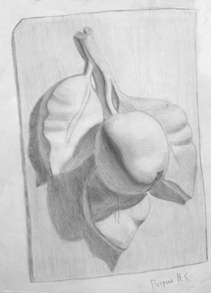 Рисунок яблоко Академический гипс