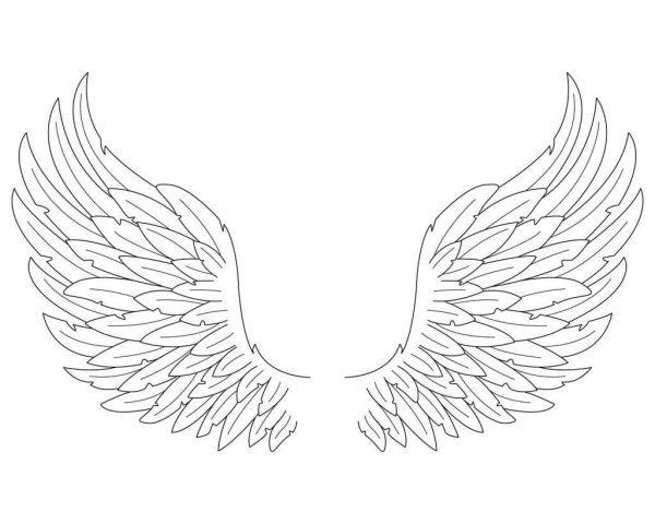 Крылья ангела