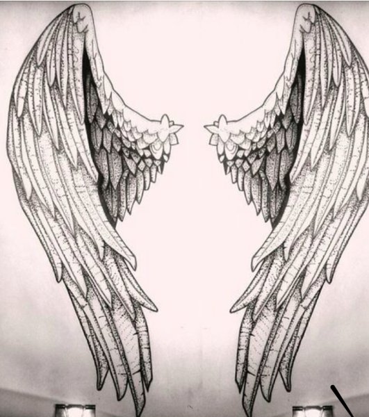 Крылья карандашом