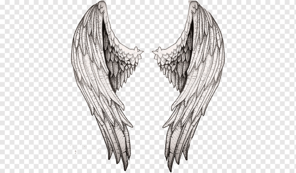 Крылья зарисовки