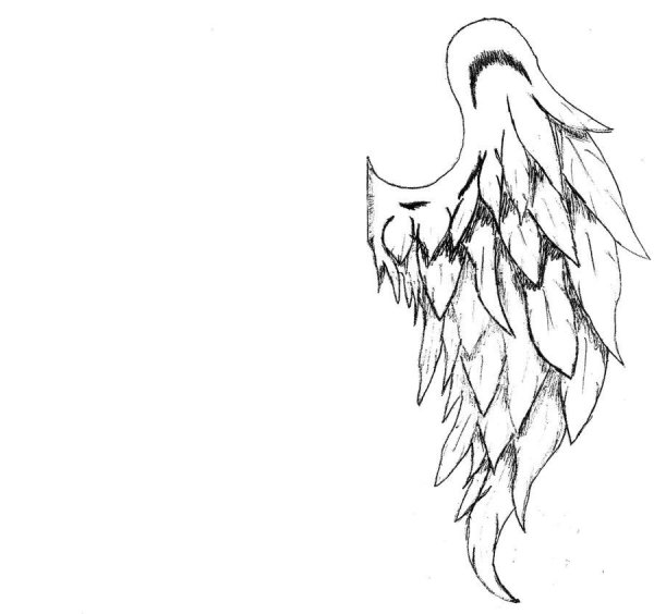 Крылья для срисовки карандашом