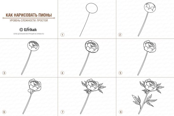 Цветок купальница европейская раскраска