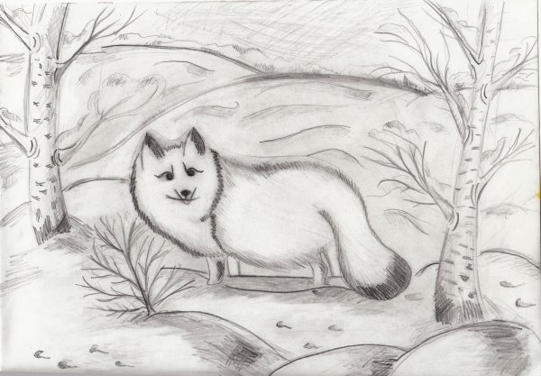 Писец карандашом