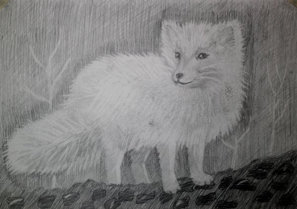 Писец карандашом