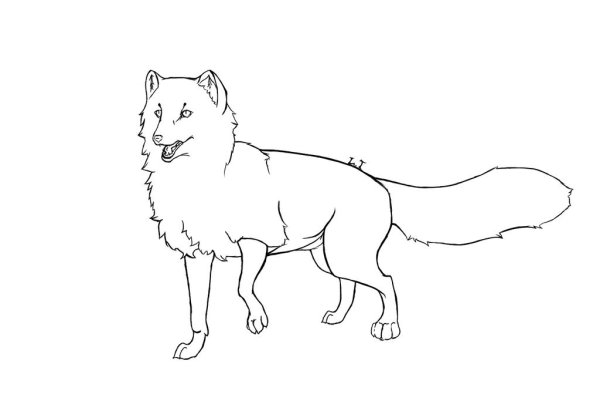 Песец карандашом