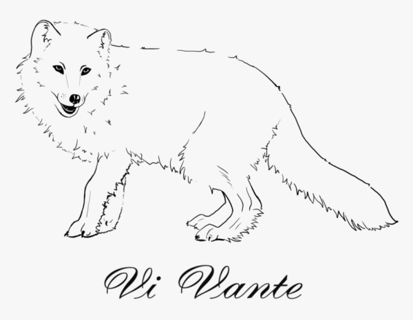 Песец референсы