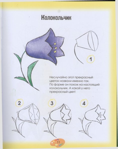 Красивые цветы карандашом для срисовки