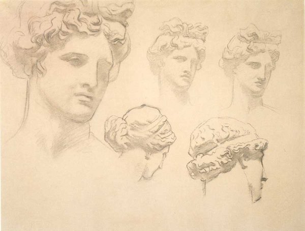 Аполлон Бельведерский голова рисунок