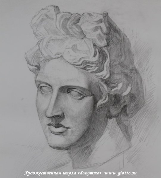 Голова Аполлона рисунок