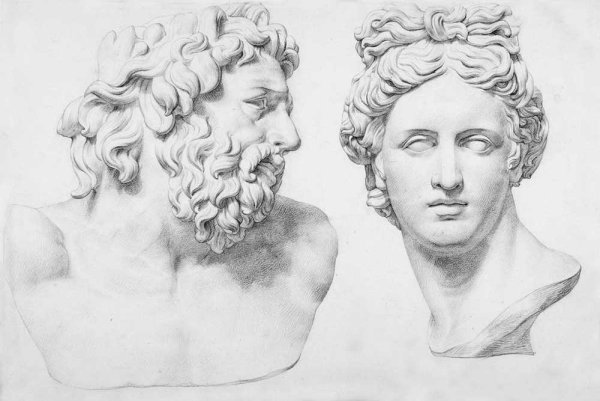 Аполлон Бельведерский голова гипс