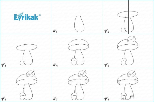 Белый гриб Боровик раскраска