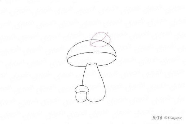 Раскраска гриб масленок