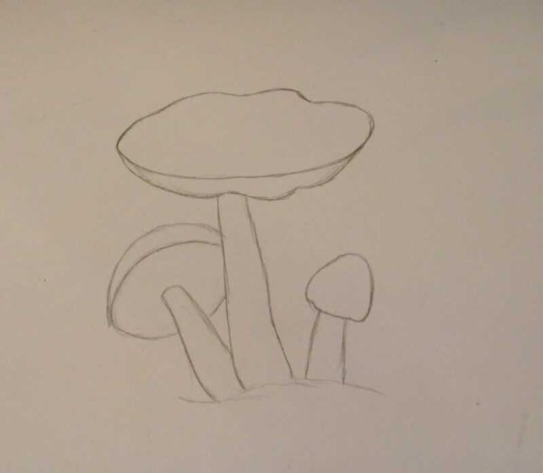 Рисование грибы