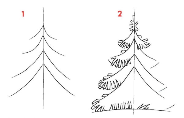 Ель набросок