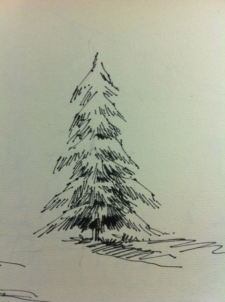 Нарисовать ель карандашом
