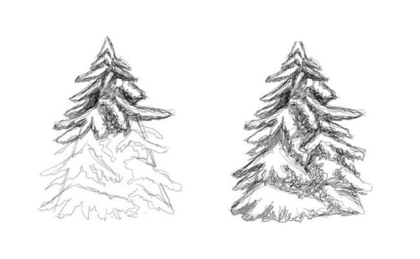 Сосна раскраска для детей