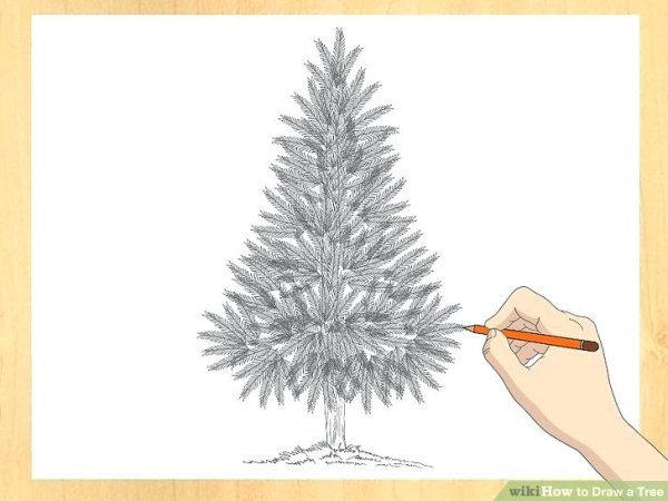 Елка в лесу раскраска для детей