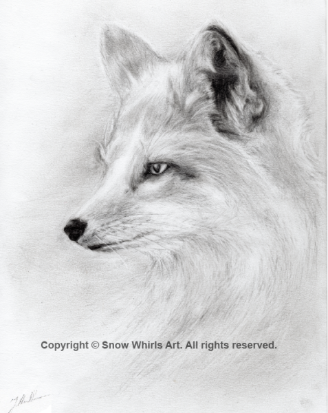 Лиса нарисовать карандашом