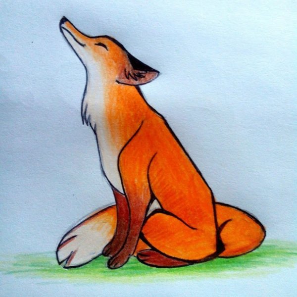 Лиса рисунок для детей