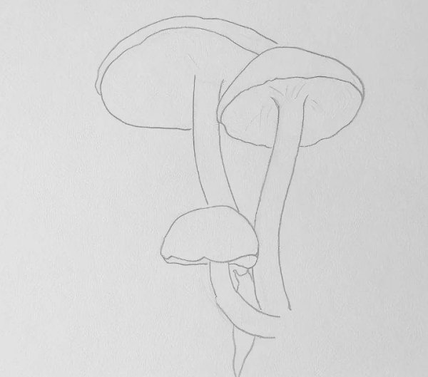 Раскраска гриб ложные опята