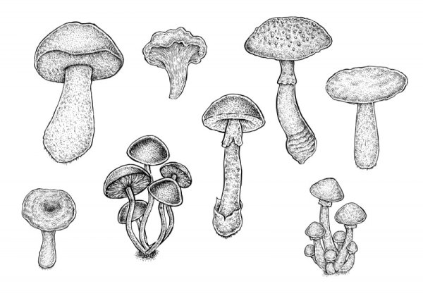 Грибочки скетч