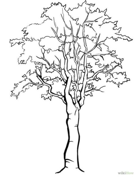 Стилизация листьев березы