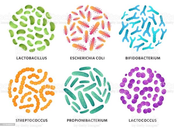 Бактерии вектор
