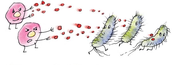 Болезнетворные микробы для детей