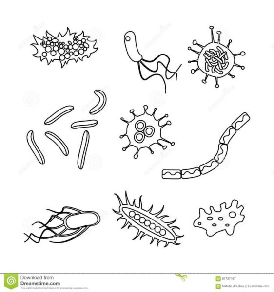 Микробы раскраска для детей