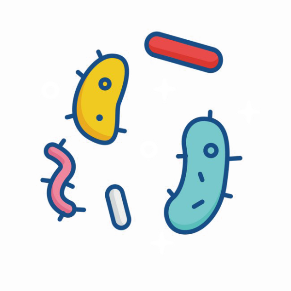 Нарисовать бактерии