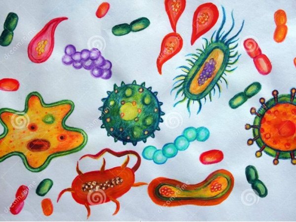 Микробиология для детей