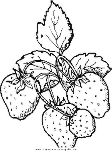 Раскраска "ягоды"