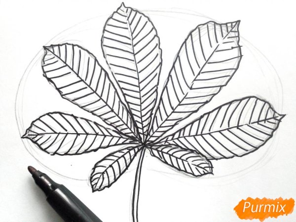 Лист каштана карандашом