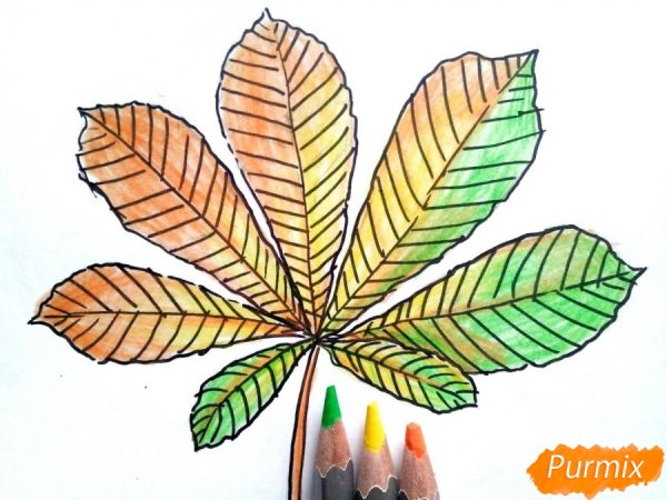 Лист каштана карандашом